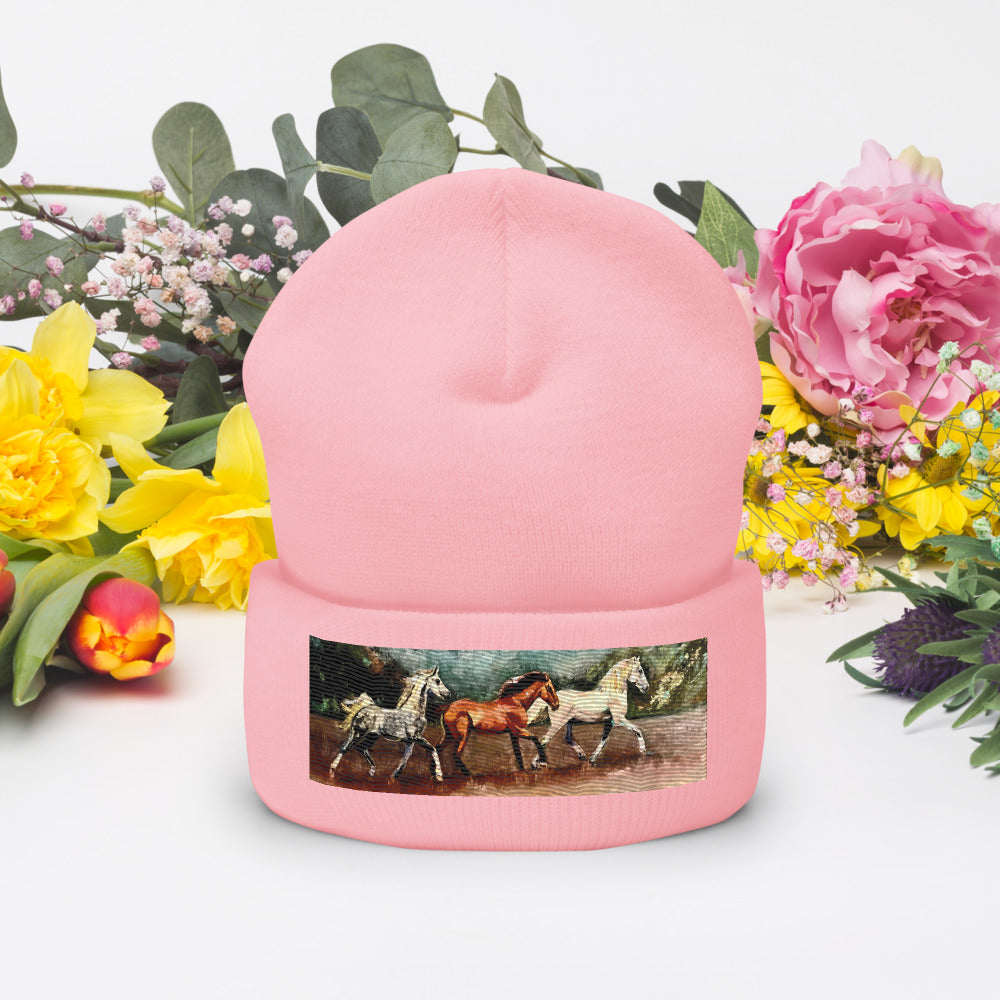 Tranquil Horizon Walk Cuffed Beanie