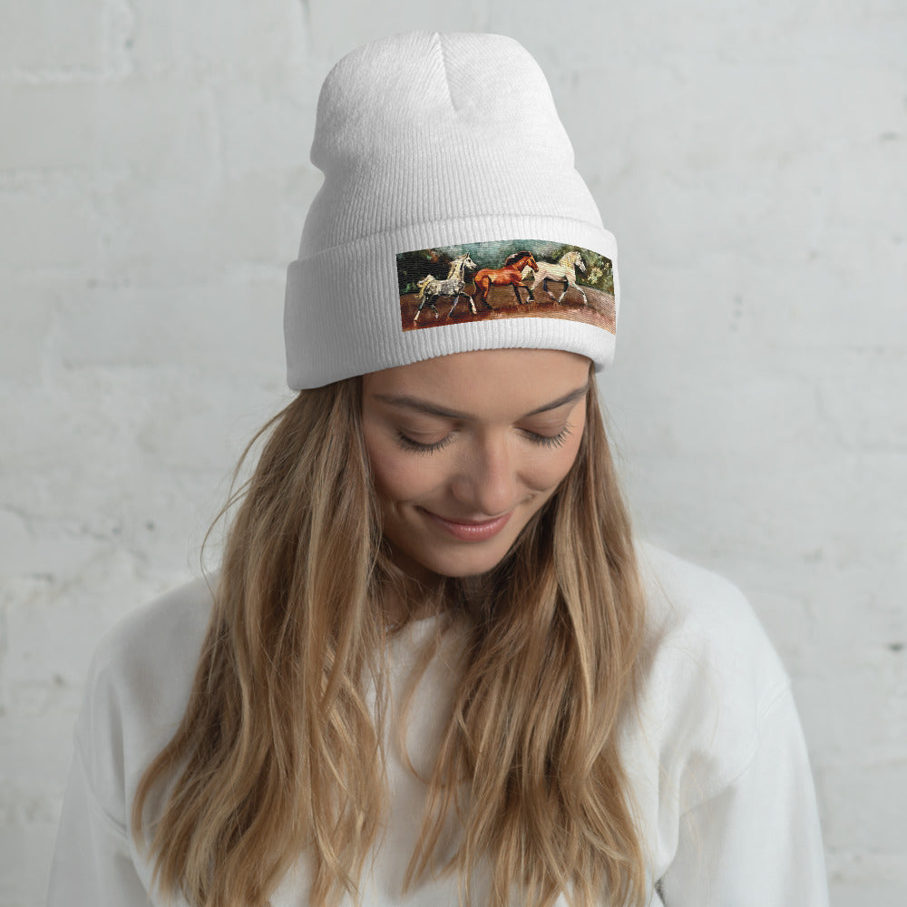 Tranquil Horizon Walk Cuffed Beanie