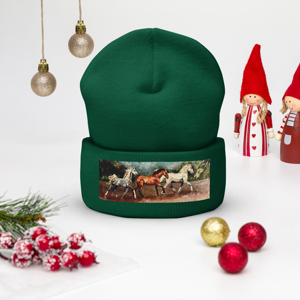 Tranquil Horizon Walk Cuffed Beanie