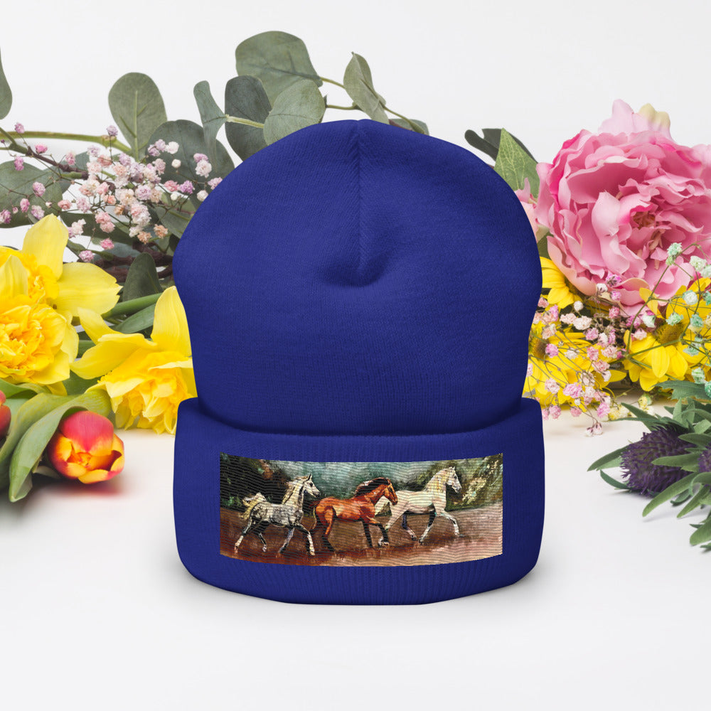 Tranquil Horizon Walk Cuffed Beanie